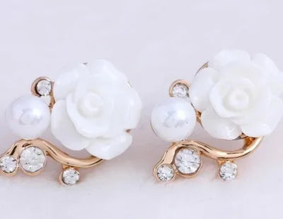 Earrings Accessories