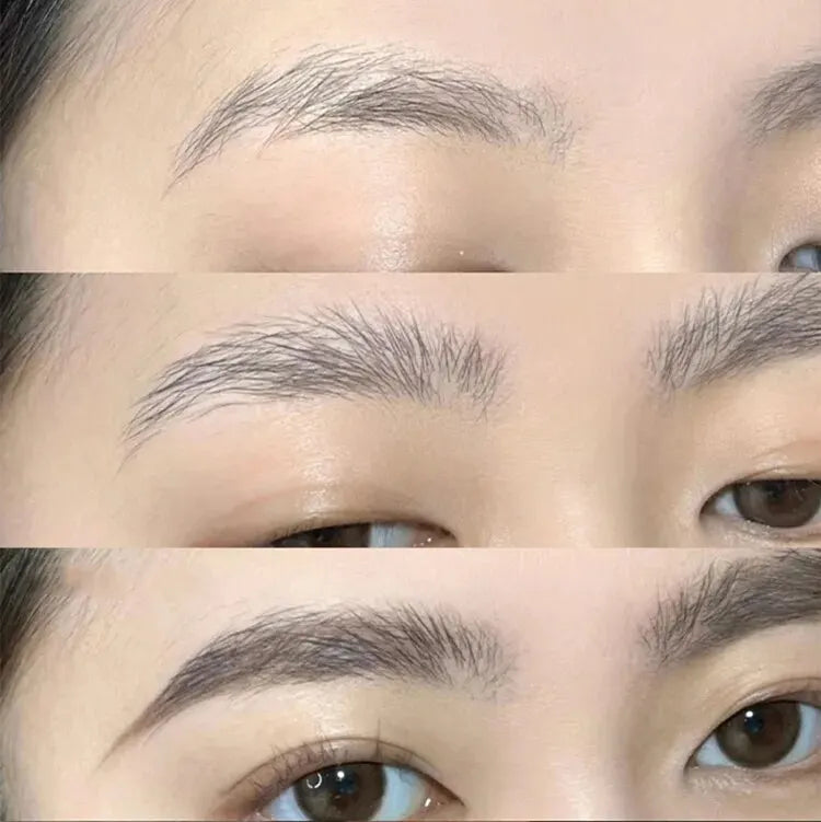 dimensional Eyebrow