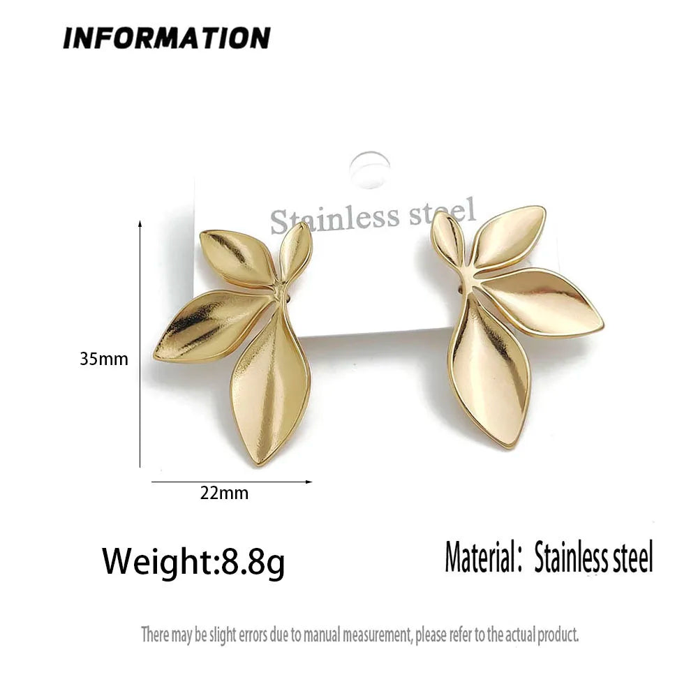 earrings  jewelry