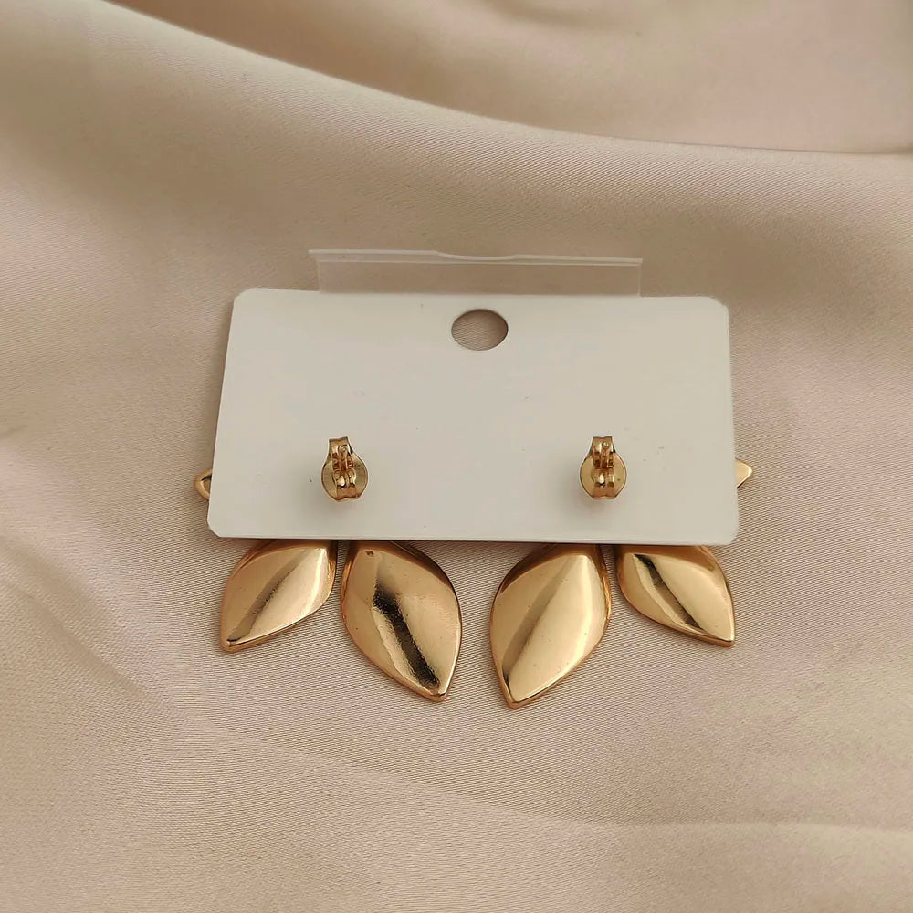 earrings  jewelry