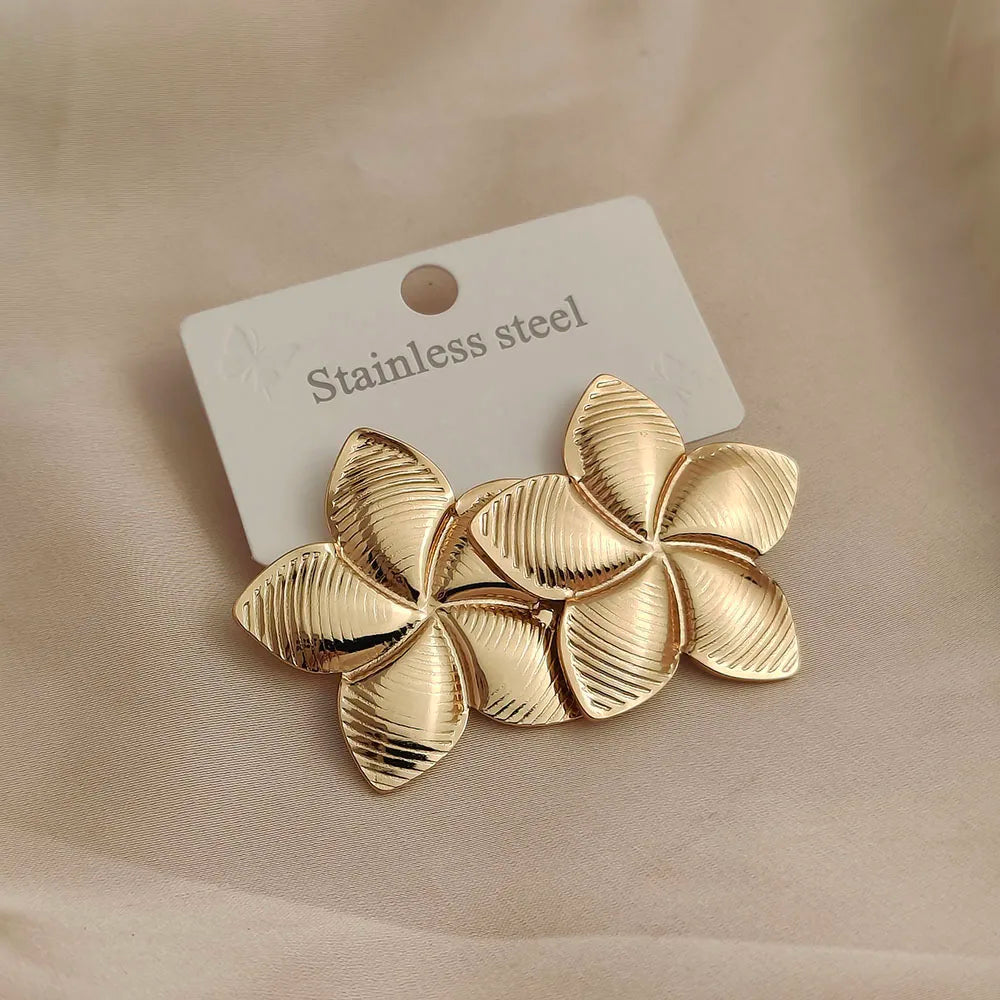 earrings  jewelry