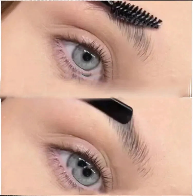 dimensional Eyebrow
