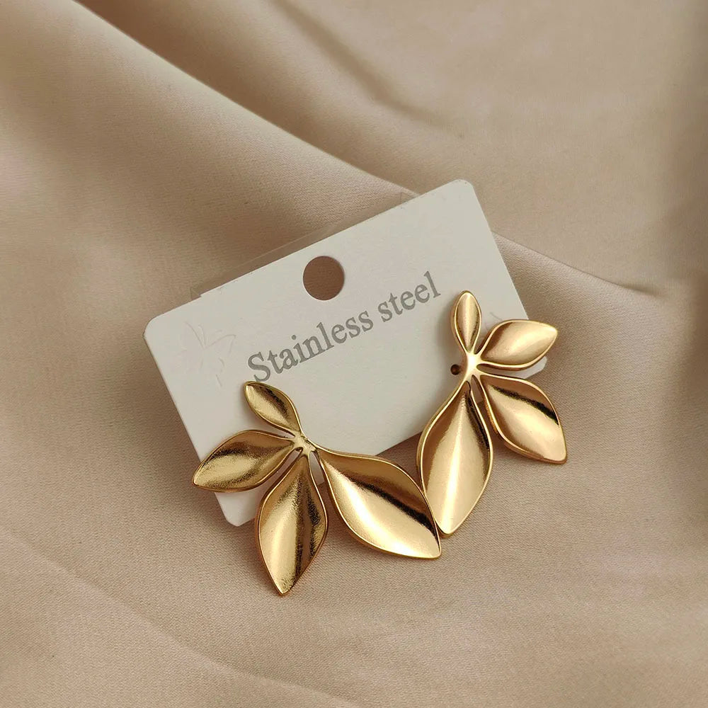 earrings  jewelry